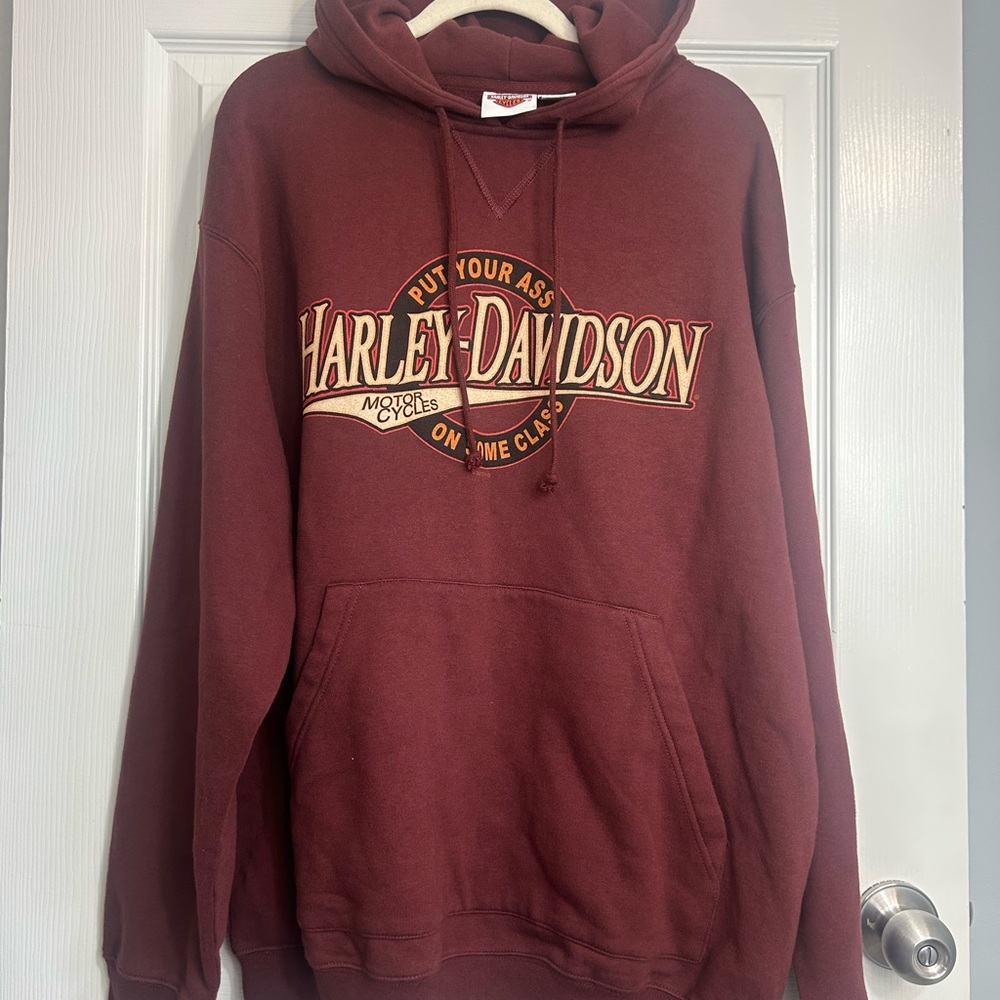 Vintage 2010 Harley Davdison Double Sided Graphic Hooded Sweatshirt Mens Small